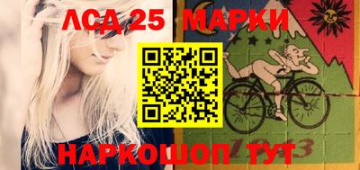 шишки Можга