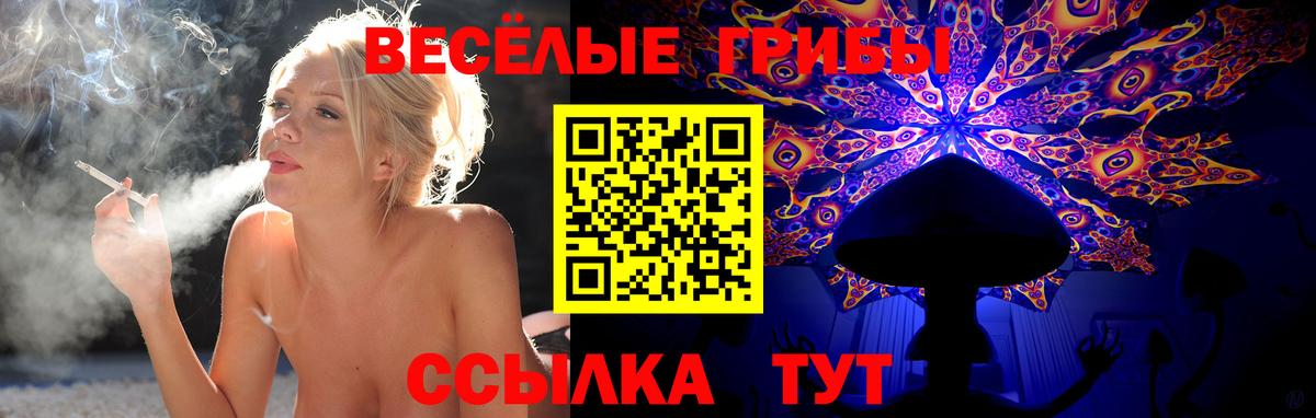 Галлюциногенные грибы MAGIC MUSHROOMS Химки